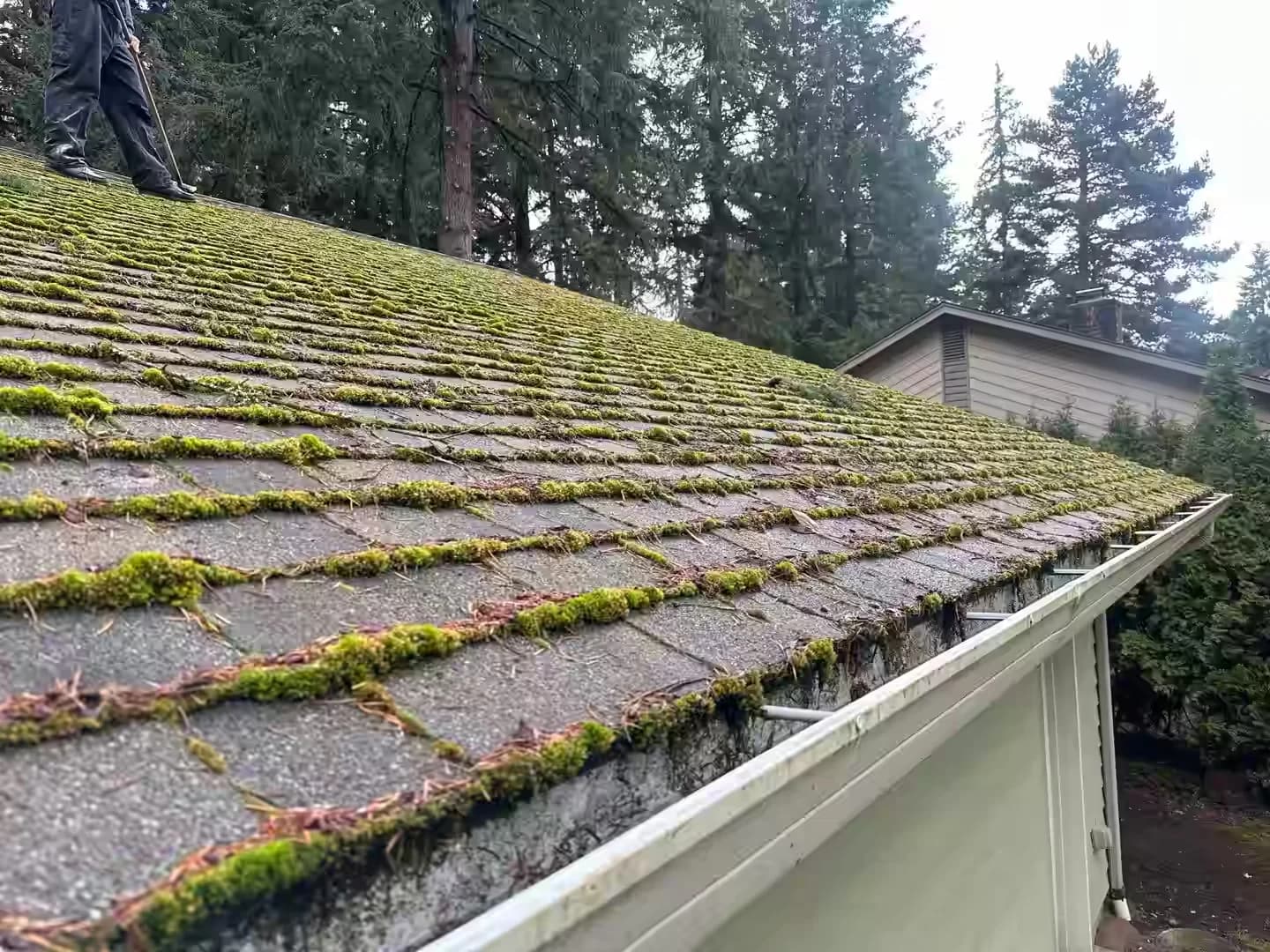Shingle Roof Cleaning | Vancouver & Portland