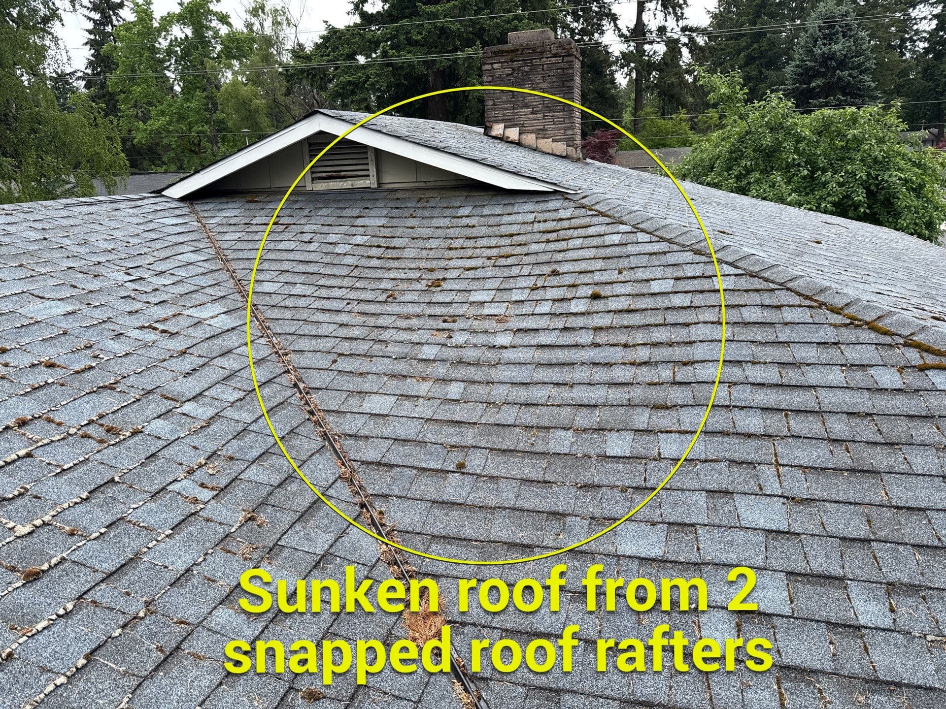 Roof Cleaning services in Salmon Creek, WA