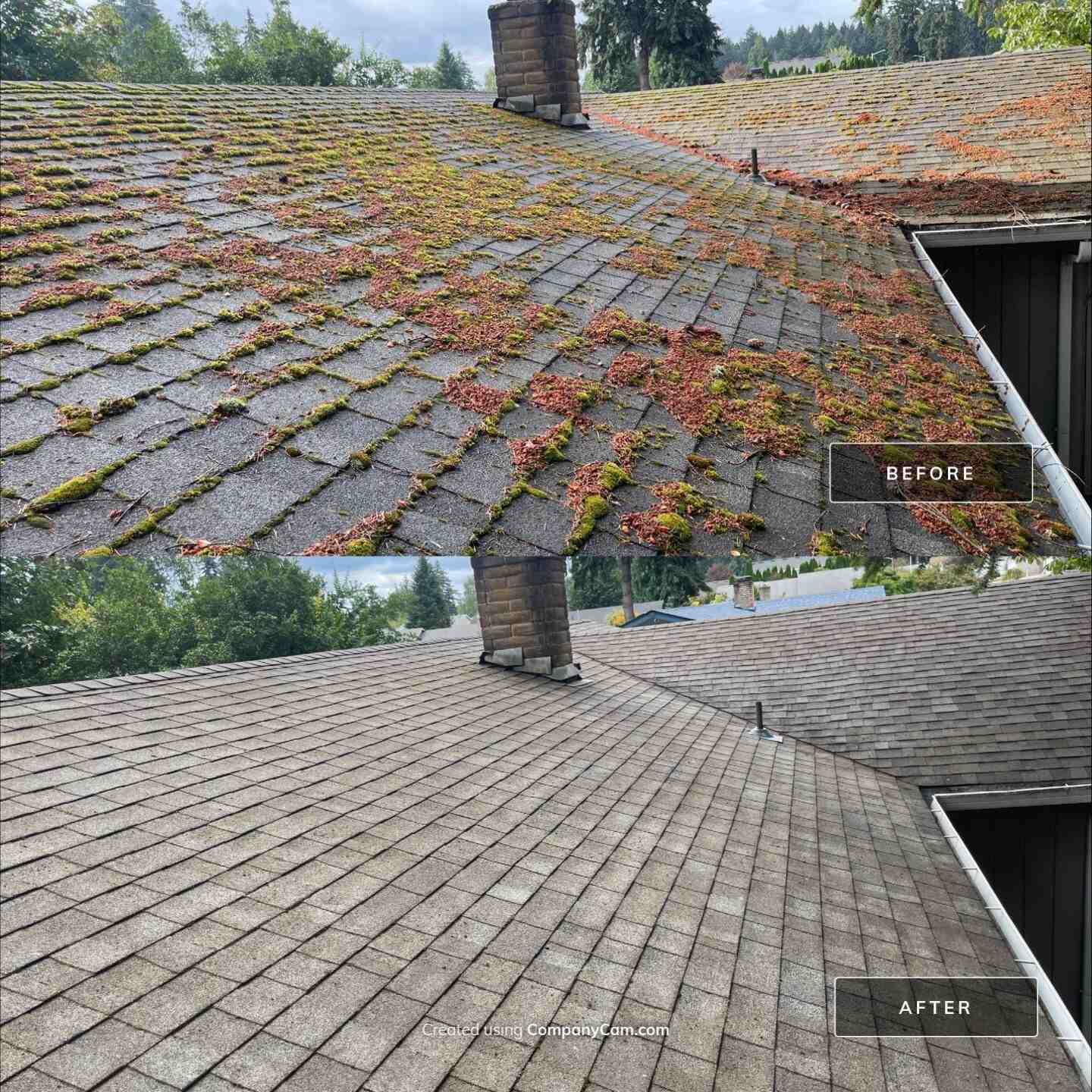 Roof Cleaning services in Portland, OR