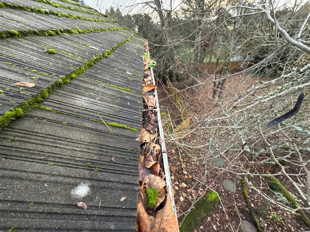 A rain gutter filled with dead leaves and debris, alongside mossy roof tiles, highlighting the risk of winter gutter damage and the need for cleaning.