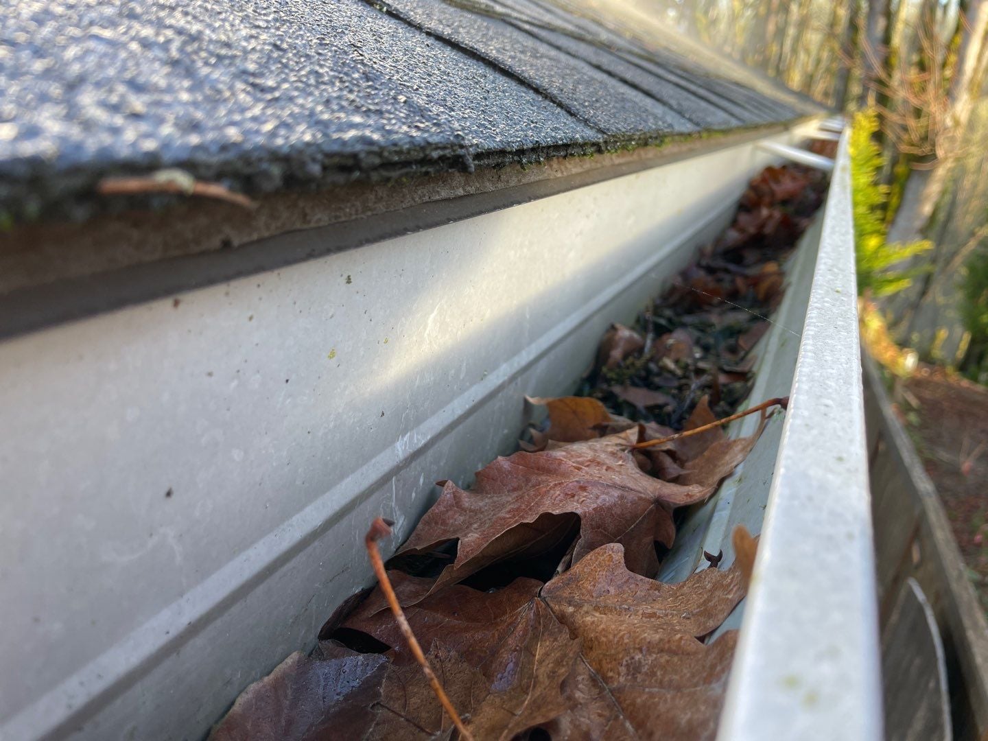 Yes, clogged gutters can cause roof leaks in Portland OR. Learn how gutter backup damages fascia, soffit, and roof decking, plus prevention tips.