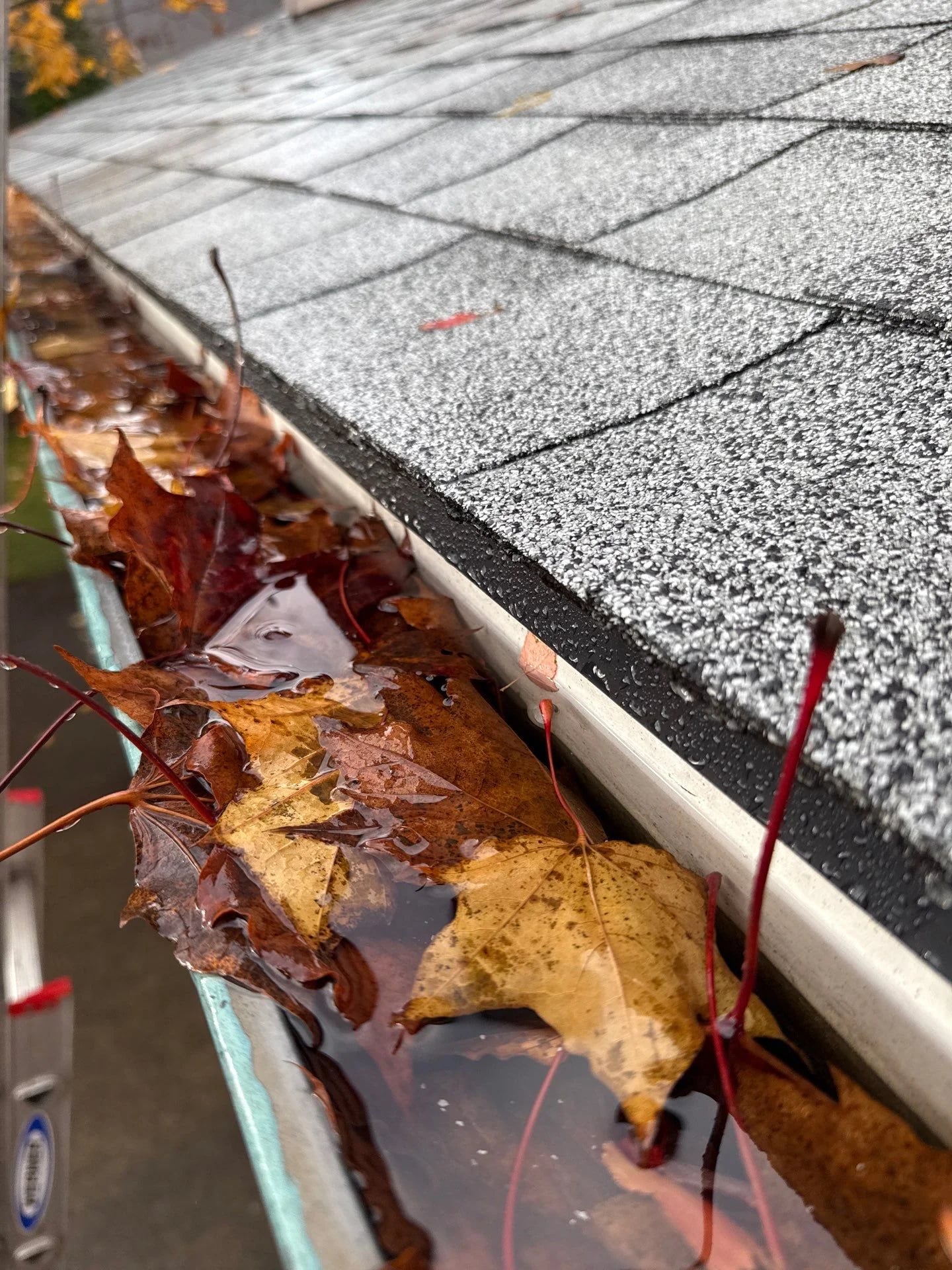 A rain gutter filled with water and wet leaves, showing poor drainage and the importance of preparing your home for winter storms.