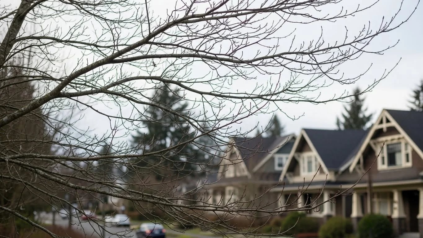 Bare tree branches against a cloudy sky in a residential area, illustrating the importance of winter tree trimming to prevent storm damage in Vancouver, WA.