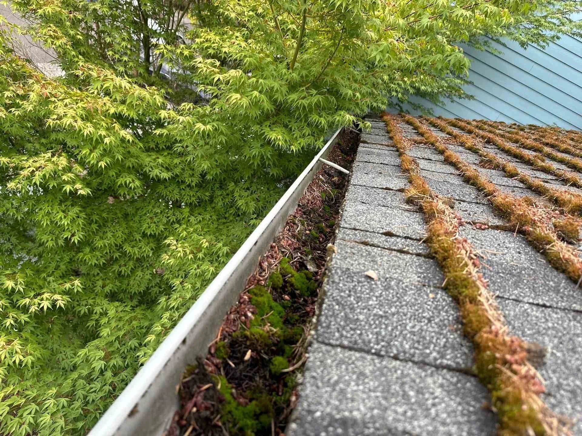 Water stains and wood rot visible on a home's siding, caused by long-term neglect of clogged rain gutters.