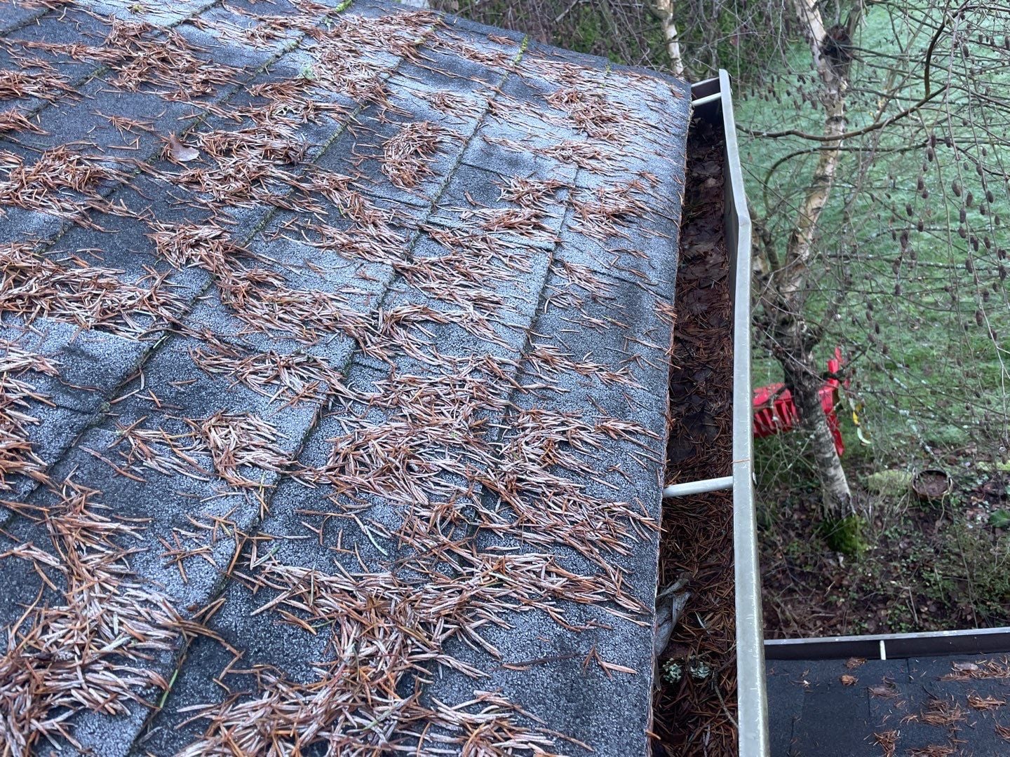 708360de 7941 4c5a 953a 78607e895fe6.jpg