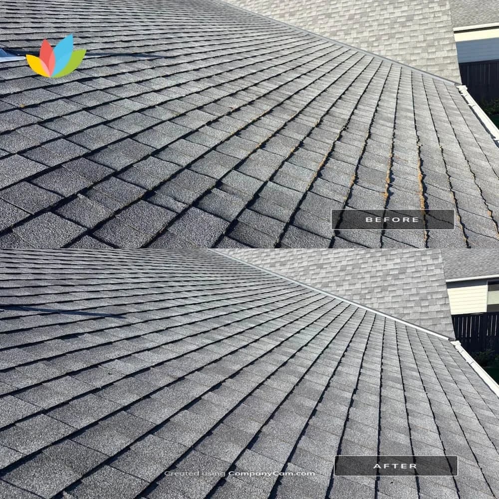 Residential roof showing significant moss growth during the damp Pacific Northwest winter season, requiring professional attention.