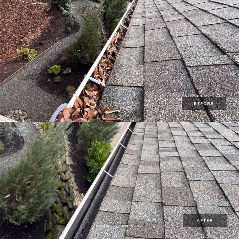 Gutter Cleaning